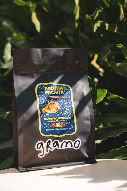 Pachita Pachita - Natural Anaeróbico de Michoacán