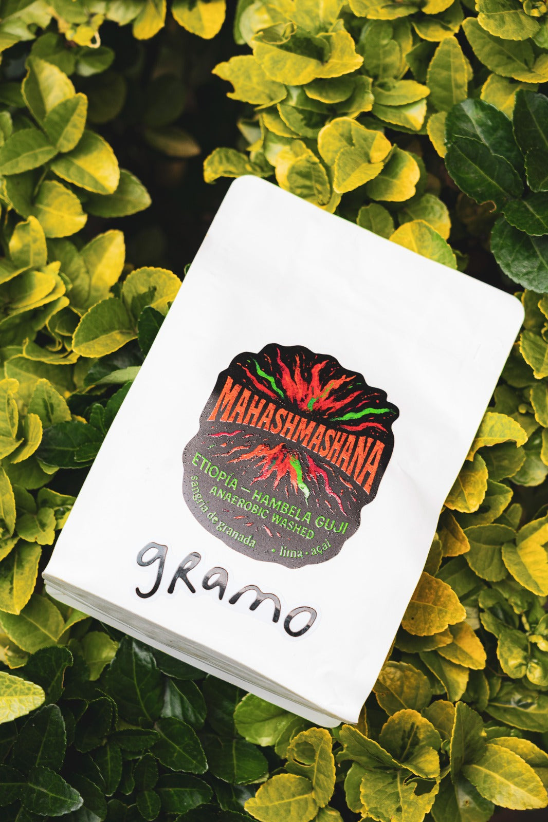 Mahashmashana - Natural Anaérobico de Etiopía